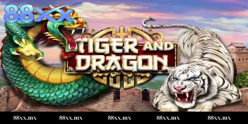 soi cầu rồng hổ